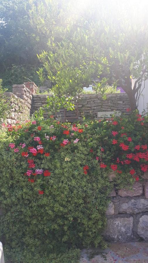 Vila Lucice Petrovac na moru Exterior foto